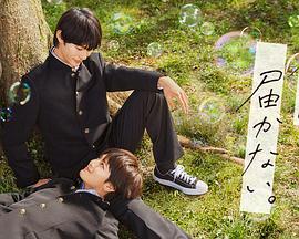 在线观看黄色小视频海报剧照