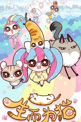 猛男精品一区海报剧照