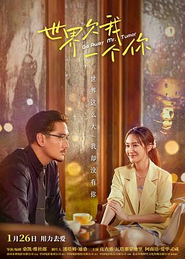 情侣戒指注音版海报剧照